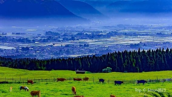 南阿蘇村