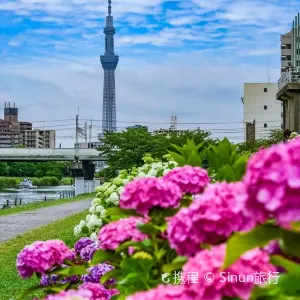 舊中川