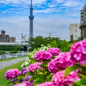 舊中川