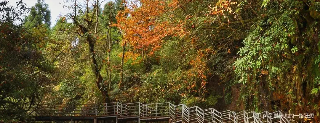 가을 경치