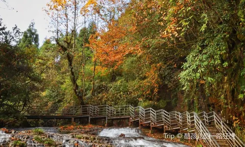 Longcanggou National Forest Park