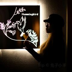 Hummingbird 여행 사진