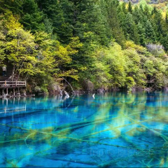 RU YI LIN KA CANG CAN User Photo