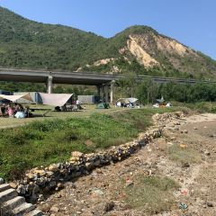 桂港海鮮城張用戶圖片