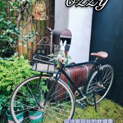 Ozzy 여행 사진