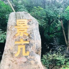 景亢傣旺象莊園張用戶圖片