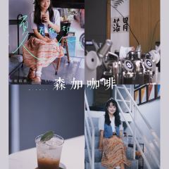 森加咖啡店(环城南路店) User Photo