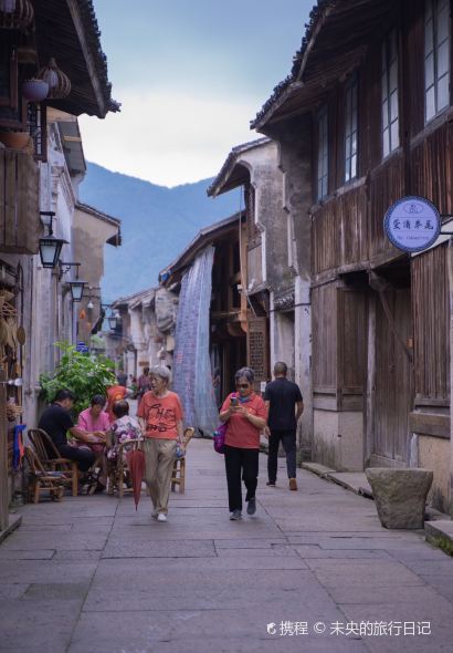 紫阳九九海苔饼