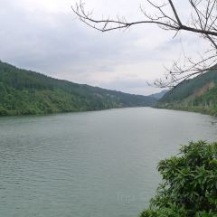 三板溪生态渔村 User Photo