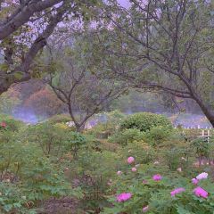 Caozhoumudanyuanhong Soup Lamb Restaurant User Photo