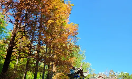 Jindian Scenic Area