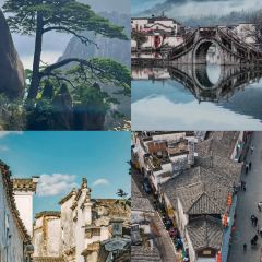 健忠灵山酒酿 User Photo