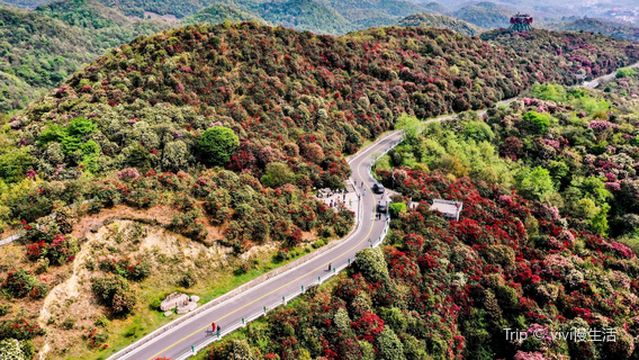 Counting Flower Peak