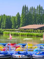 Golden Lake Water Forest Scenic Area