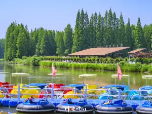 金湖水上森林景勝地