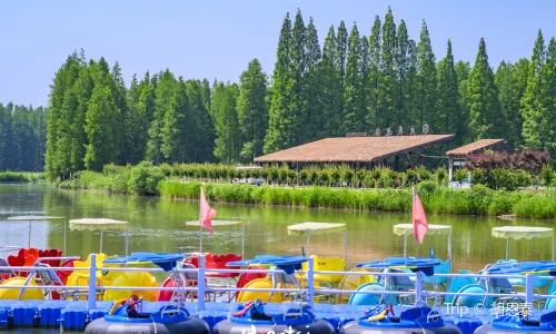 Golden Lake Water Forest Scenic Area