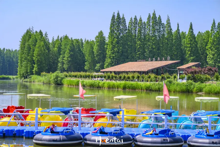 Golden Lake Water Forest Scenic Area