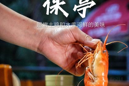 南大门田园土鸡·香草鸭(呀诺达店)