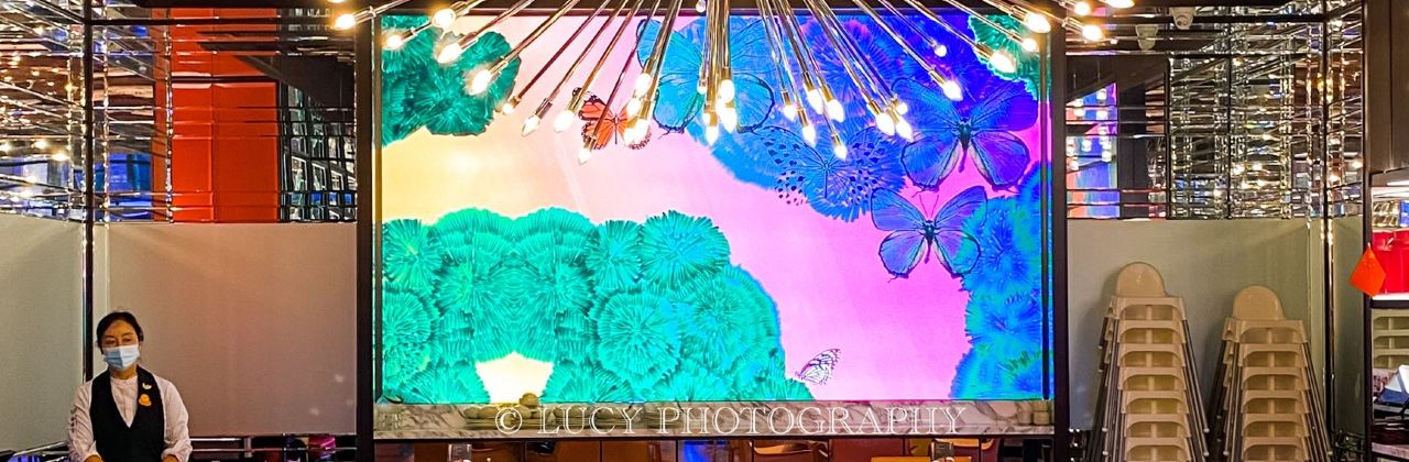 蝴蝶里·粤式点心·乳鸽(长宁来福士店)