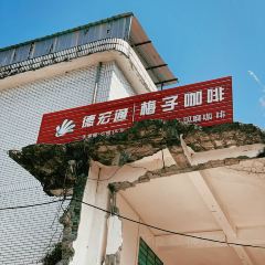 梅子咖啡烘焙工作室 ảnh của người dùng