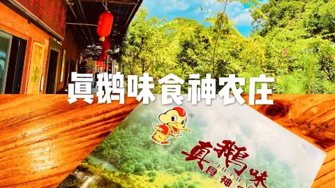 真鹅味食神农庄 in 잉더