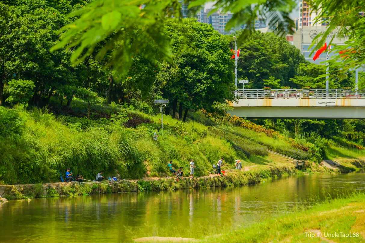 1_Qinghu Wetland Park
