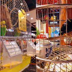 王爷府鲜羊涮(天王店) User Photo