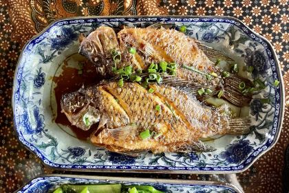 YUAN XIANG REN SHU SHANG GA FEI WU