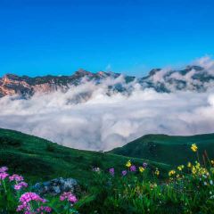茂县千山雪设计师民宿·餐厅 ảnh của người dùng
