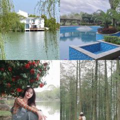 悦兮半岛温泉度假酒店·餐厅部 User Photo