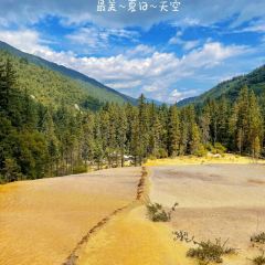 天空的寨子原生态石板烤肉 User Photo