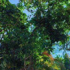 秋長咖啡Overchill張用戶圖片