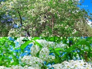 Beijing Labagou Virgin Forest Park