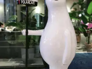 Polar Cafe