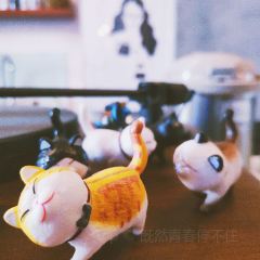 MOOI CAFE User Photo