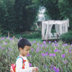 岭澜食尚 User Photo