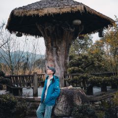 二十四桥明月园(温汤店) User Photo