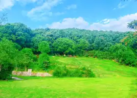 Chongqing Baishiyi Forest Park