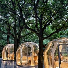 for you 浮遊·西餐廳（東二環泰禾店）張用戶圖片