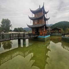 四寶小鎮張用戶圖片