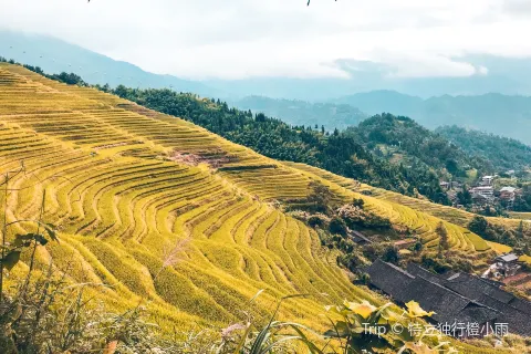 Longji Rice Terraces Scenic Area-Jinkeng Rice Terraces