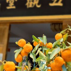 Zammai張用戶圖片