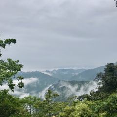 莽山天台山美食 User Photo