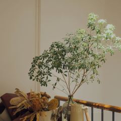 馥约花艺咖啡 User Photo
