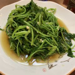 SHI PING JIU JIA User Photo