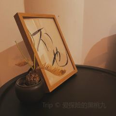 甜豆集 User Photo