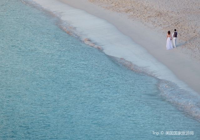 Trunk Bay