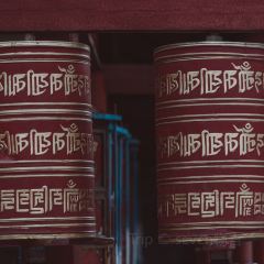 川主寺張用戶圖片