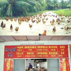 博鳌海鸭湖果园饭店 User Photo
