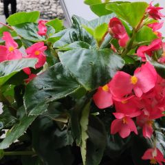 北京果木烤鸭(郯城店) User Photo